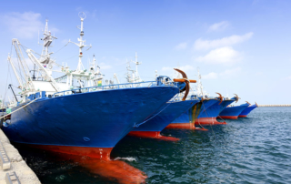 Seawothiness As A Ship Requirement